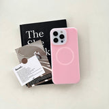 Summer liquid silicone magnetic phone case for iPhone