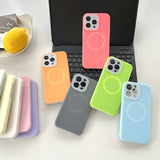 Summer liquid silicone magnetic phone case for iPhone