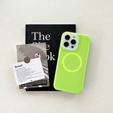 Summer liquid silicone magnetic phone case for iPhone