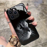 Cute Cat Pattern Tempered Glass Black Phone Case For iPhone