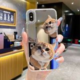 Popular cartoon pets Mirror phone case For iPhone
