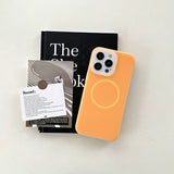 Summer liquid silicone magnetic phone case for iPhone