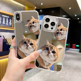 Popular cartoon pets Mirror phone case For iPhone