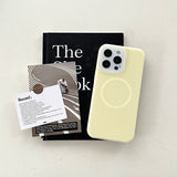 Summer liquid silicone magnetic phone case for iPhone