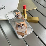 Popular cartoon pets Mirror phone case For iPhone